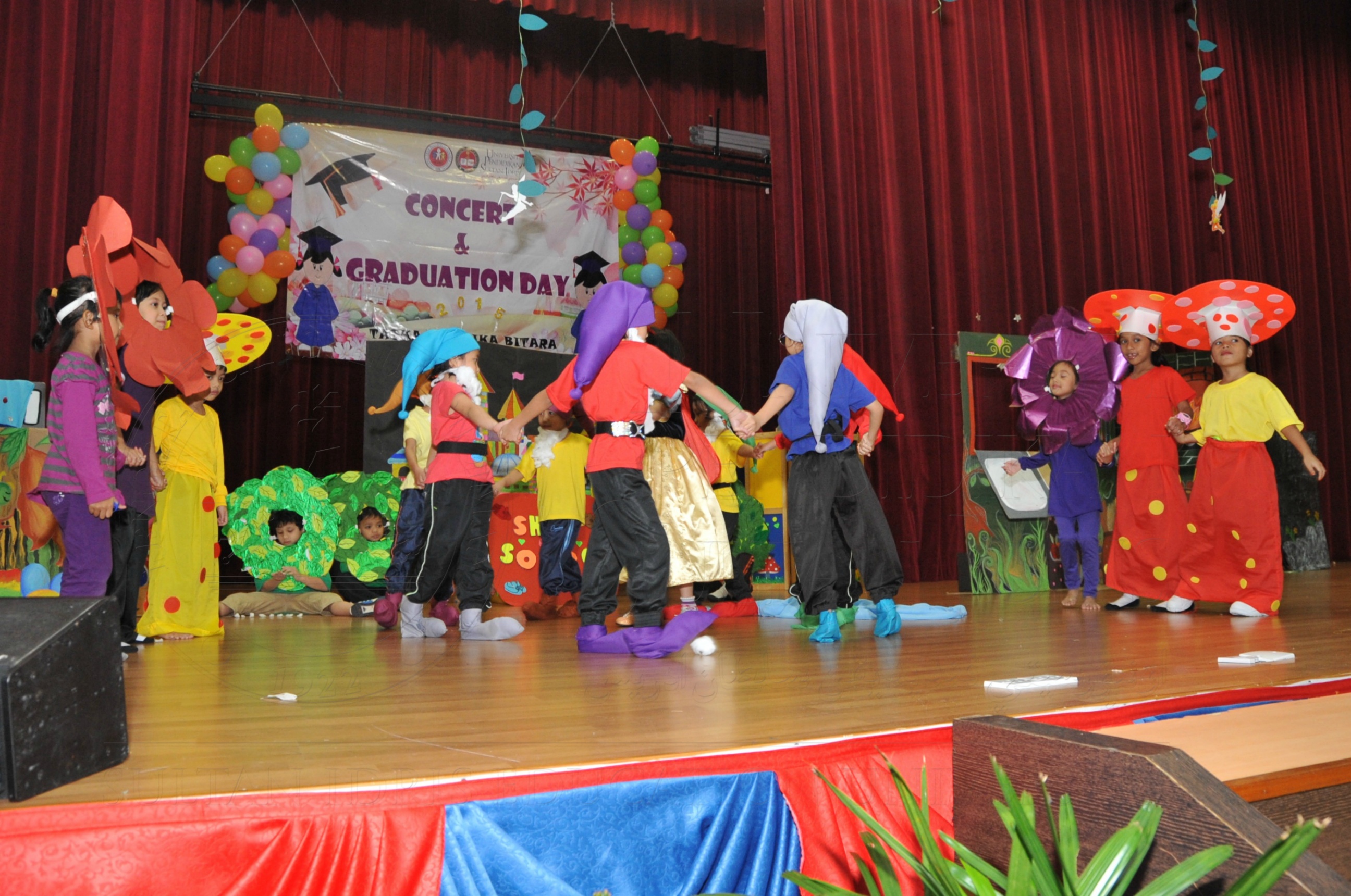 PRO15 163 KONVO HAS 0806